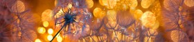 Кухонный фартук Мерцание Одуванчики золотистые 3 серебро в Чите - chita.katalogmebeli.com | фото