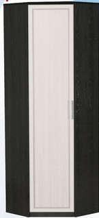 Шкаф для одежды угловой ДЛЯ ГОСТИНОЙ ШОУ-695 Венге/Дуб выбеленный в Чите - chita.katalogmebeli.com | фото